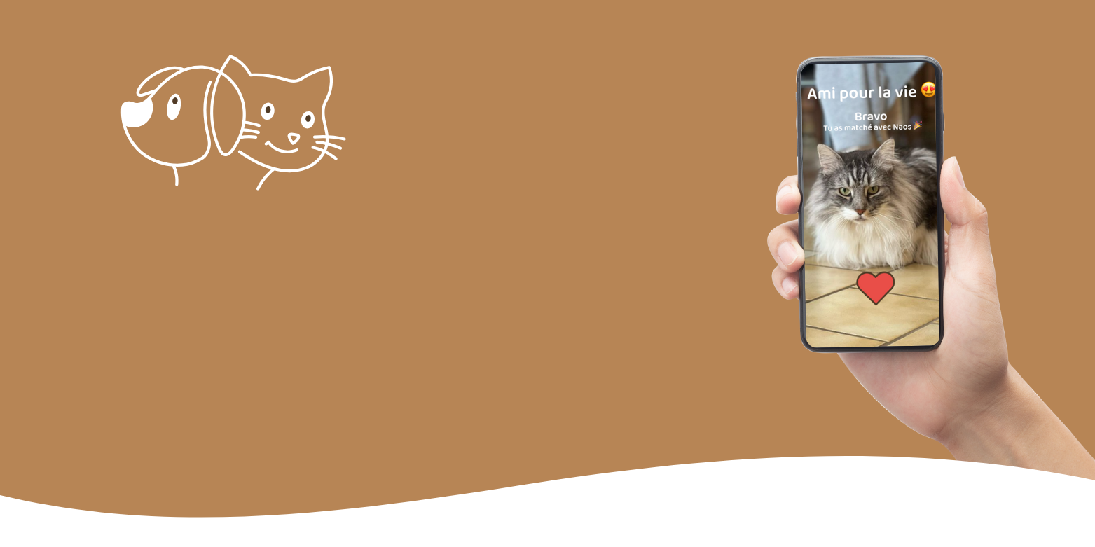 Bannière du site Petfy