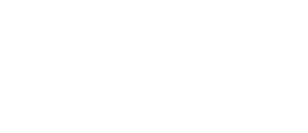 Logo Petfy Blanc